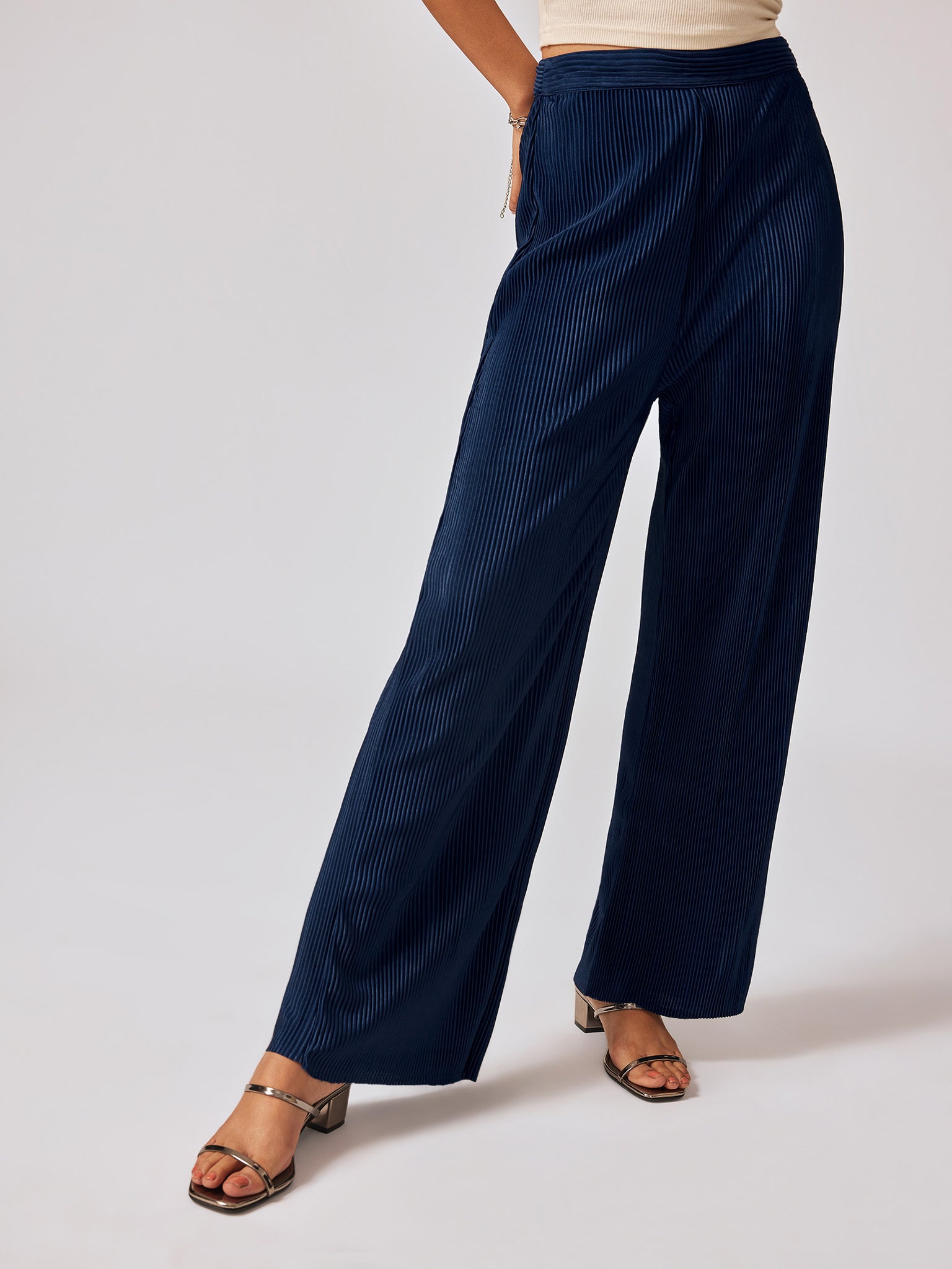 Navy Pleated Flare Pants
Navy Pleated Flare Pants